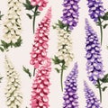 Colorful Lupin Flower Vector Pattern For Retro Decorative Backgrounds Royalty Free Stock Photo