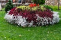 Colorful lush flower arrangement, round in shape, among a green lawn, many different plants and flowers on a flower bed in the
