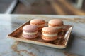 Colorful macaron cookies displayed on square plate stand attractively