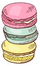 Colorful macarons. Almond french tasty pastry doodle