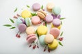 Colorful macarons with leaves and red flowers on a white background. French delicate dessert