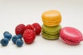 Colorful macaroon coolies with raspberry and blueberry berries