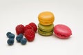 Colorful macaroon coolies with raspberry and blueberry berries