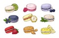 Colorful macaroon. French pastry sweet dessert with different flavors. Gourmet berries or cheese cookies. Lemon and banana bakery