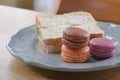 Colorful macaroon and sandwich ham cheese ready to eat Royalty Free Stock Photo