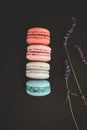 Colorful macaroons on a dark background with flowers of a lavender. Beautiful nature concept. Vintage style Royalty Free Stock Photo