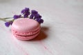 Colorful macaroons on the pink textured table.