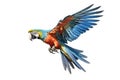 Colorful macaw flying isolated on white background,Generative, AI, Illustration Royalty Free Stock Photo