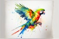 Colorful Macaw parrot bird illustration