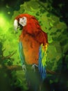 Colorful Macaw Parrot - Digital Painting Royalty Free Stock Photo