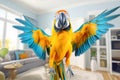 A colorful macaw parrot flies in the living room