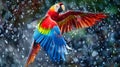 Colorful Macaw Parrot Flying Through the Air Royalty Free Stock Photo
