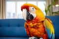 Colorful macaw parrot sitting on blue sofa in living room