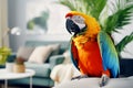 Colorful macaw parrot sitting on sofa in the living room