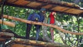 Colorful Macaw Parrots (Scarlet Macaws) in Brazil Royalty Free Stock Photo