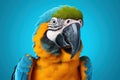 Colorful Macaw: A Vibrant Portrait of a Cute Blue-and-Yellow Parrot with Exotic Feathers and Bright Red Beak, Looking