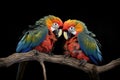 colorful macaws preening each other on a tree branch Royalty Free Stock Photo