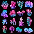 Colorful Magic Mushrooms Collection Royalty Free Stock Photo