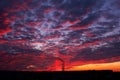 Colorful Magic Sunset. Roofs of city houses during sunrise. Birds flying in the sky. Dark smoke coming from the thermal power Royalty Free Stock Photo