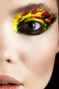 Colorful make-up on close-up eye. Art beauty image. Royalty Free Stock Photo