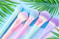 Colorful makeup brushes with tropical vibes Royalty Free Stock Photo
