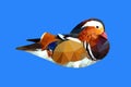 Colorful Mandarin duck swim on the ripple blue river low polygon style