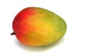 Colorful Mango Fruit