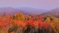 Maple and birch trees on rolling hills in rural New Hampshire Royalty Free Stock Photo