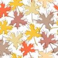 Colorful maple fall pattern