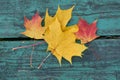 Colorful maple leaves in the autumn on a blue-green colored bench in the park Royalty Free Stock Photo