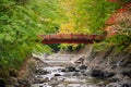 Colorful maple leaves autumn with red wodden  bridge background over small stream Royalty Free Stock Photo