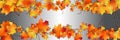 Seamless pattern with fall maple leaves Royalty Free Stock Photo