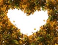 Colorful maple leaves  in the shape of a heart.Autumn abstract natural backdrop. Romantic creative  idea concept.Branch of autumn Royalty Free Stock Photo