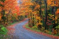 Colorful Maple trees along scenic forest trail Royalty Free Stock Photo