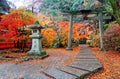 Colorful maple trees & fallen leaves at the entrance to Benzaiten Shrine with a traditional stone lantern by the paved path