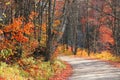 Colorful Maple trees by the scenic forest trail in autumn time