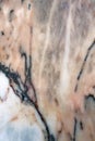 Colorful Marble Surface in a Closeup Photo