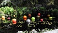 Colorful Marbles in the Pond Royalty Free Stock Photo