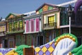 Colorful Mardi Gras Float Details