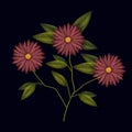 Colorful marigold flowers plant set embroidery in black background Royalty Free Stock Photo