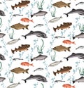 Colorful Marine Life Seamless Pattern