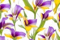 Colorful Mariposa lily flower pattern background, remixed from public domain artworks Royalty Free Stock Photo