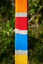 A colorful marking stake
