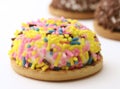 Colorful Marshmallow Cookies Royalty Free Stock Photo