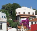 Colorful Mediterrannean street in Marmaris Town, white houses of Marmaris