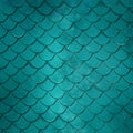 Colorful Mermaid Scale Texture