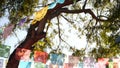 Colorful mexican perforated papel picado banner, festival colourful paper garland. Multi colored hispanic folk carved tissue flags