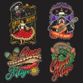 Colorful Mexico vintage emblems set