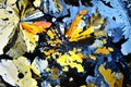 Colorful micro crystals in polarized light. Photo through a microscope Royalty Free Stock Photo