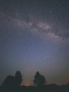 colorful milky way galaxy seen in night sky over trees - vintage Royalty Free Stock Photo